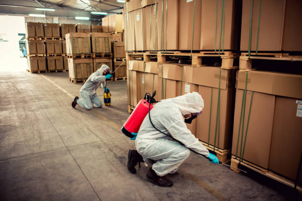Best Commercial Pest Control Services  in Bethel, WA