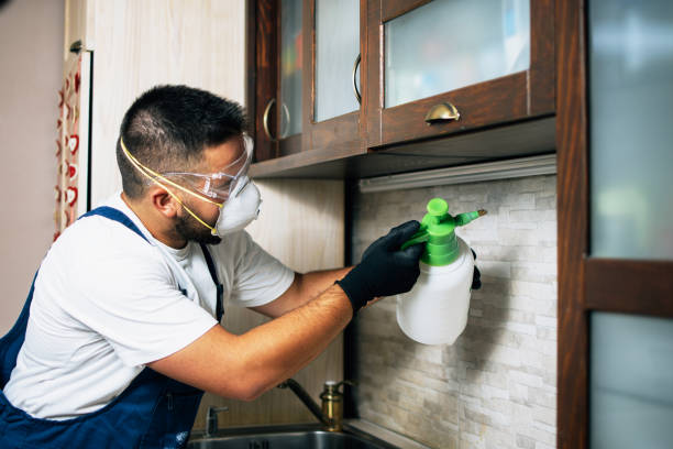 Best Insect Control  in Bethel, WA