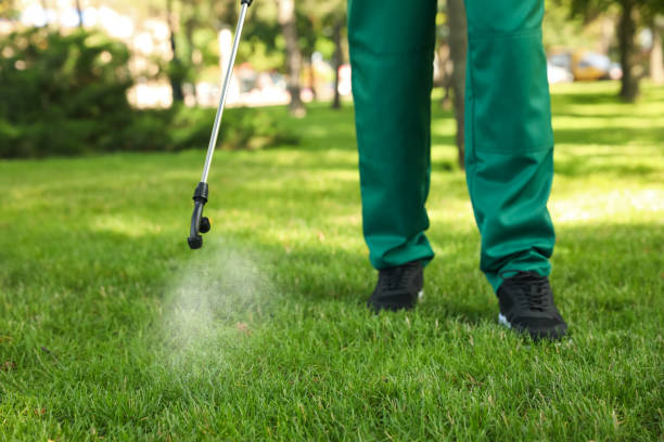 Best Local Pest Control Services  in Bethel, WA