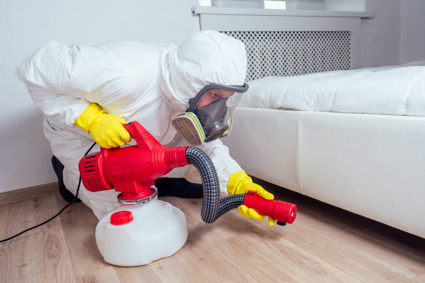Best Best Pest Control Companies  in Bethel, WA