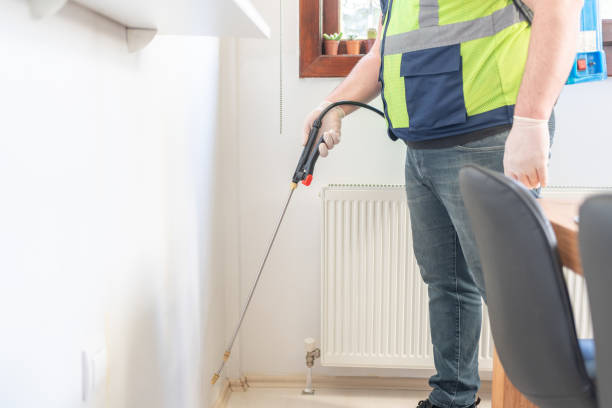 Pest Prevention Services in Bethel, WA