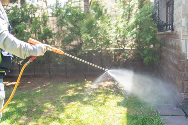 Best Rat Extermination Near Me  in Bethel, WA